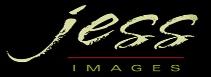 Weddings, Portraits, Life!