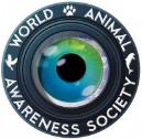 The organization which will be supported by the Silent Auction